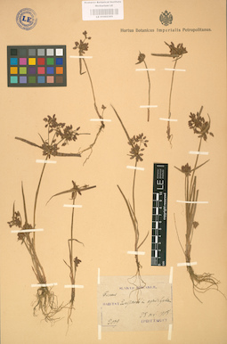 LE 01002395