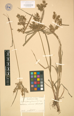 LE 01002399