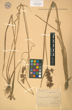 LE 01002404
