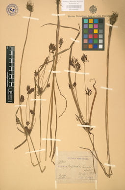 LE 01002406