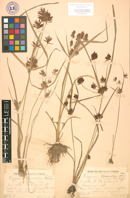 LE 01002407