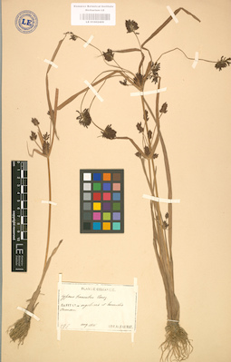 LE 01002409