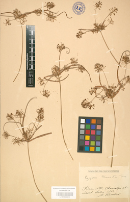 LE 01002410