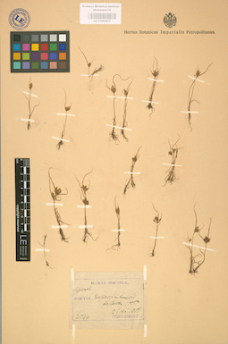 LE 01002412