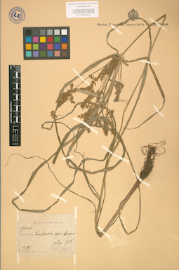 LE 01002414