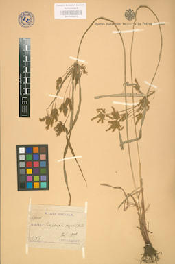 LE 01002416