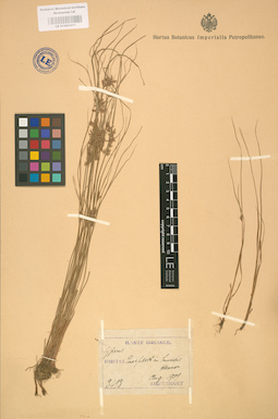 LE 01002417