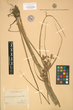 LE 01002418