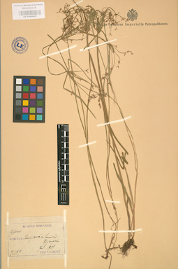 LE 01002419