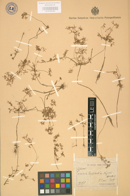 LE 01002420