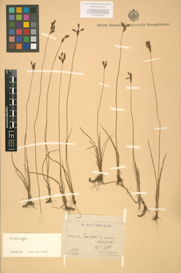 LE 01002423