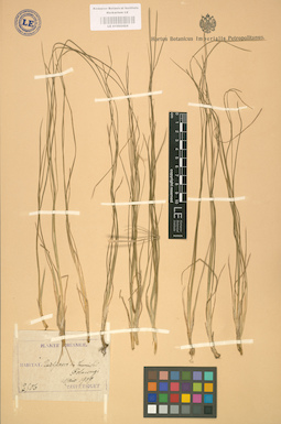 LE 01002424