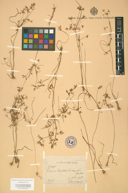 LE 01002425
