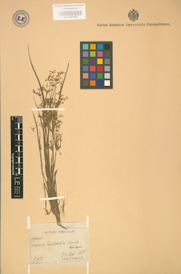 LE 01002426