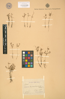 LE 01002427