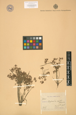LE 01002428