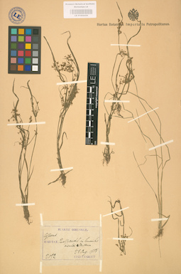 LE 01002430
