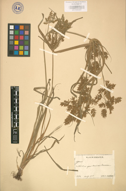 LE 01002433