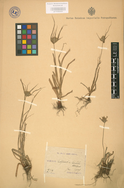 LE 01002434