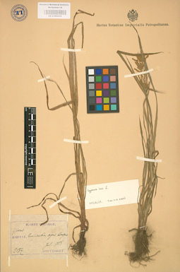 LE 01002435