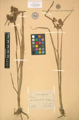 LE 01002436