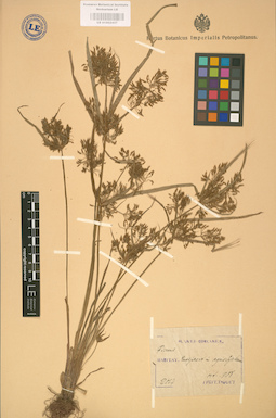 LE 01002437