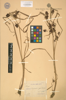 LE 01002439