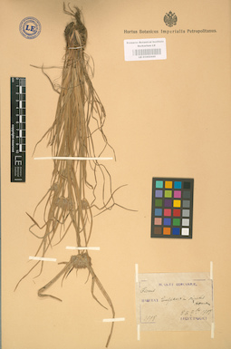 LE 01002440