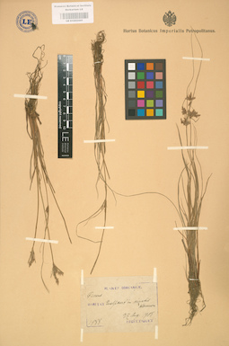 LE 01002441