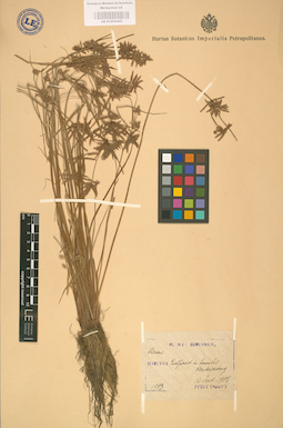 LE 01002442