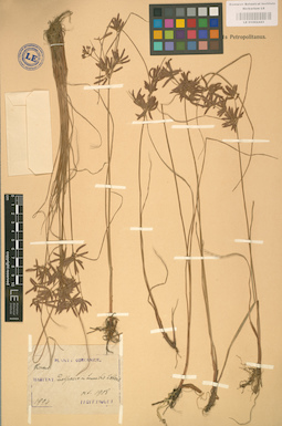 LE 01002443