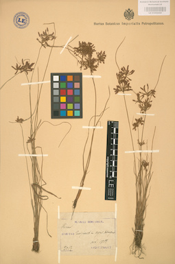 LE 01002444