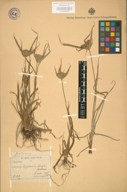 LE 01002445