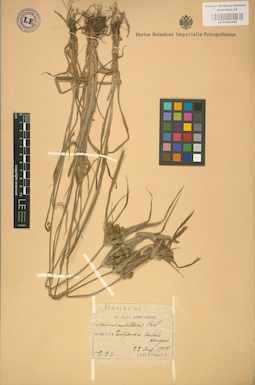 LE 01002446