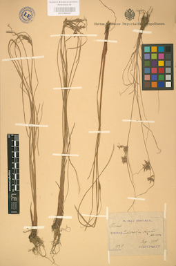 LE 01002447