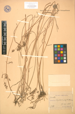 LE 01002448