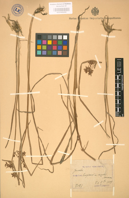 LE 01002450