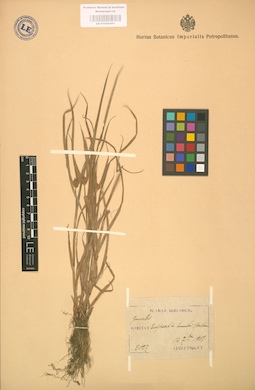 LE 01002451