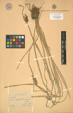 LE 01002452