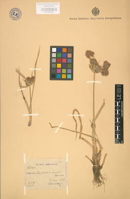 LE 01002455