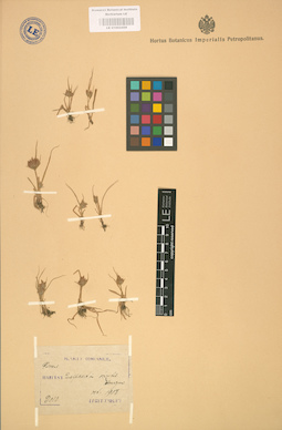 LE 01002456