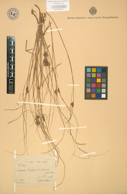 LE 01002457