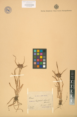 LE 01002459