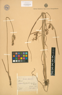 LE 01002461