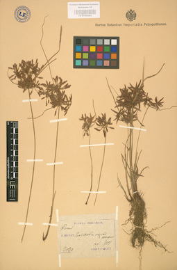 LE 01002462