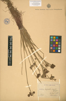 LE 01002463
