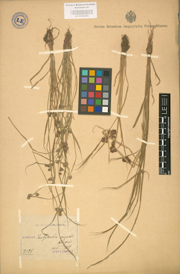 LE 01002464