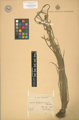 LE 01002465