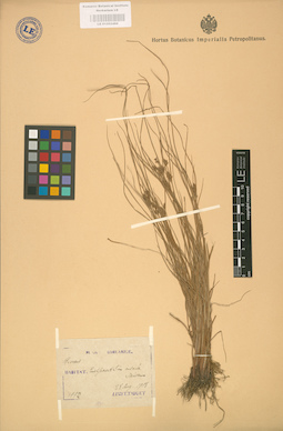 LE 01002466