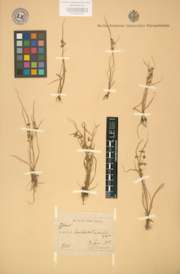 LE 01002470